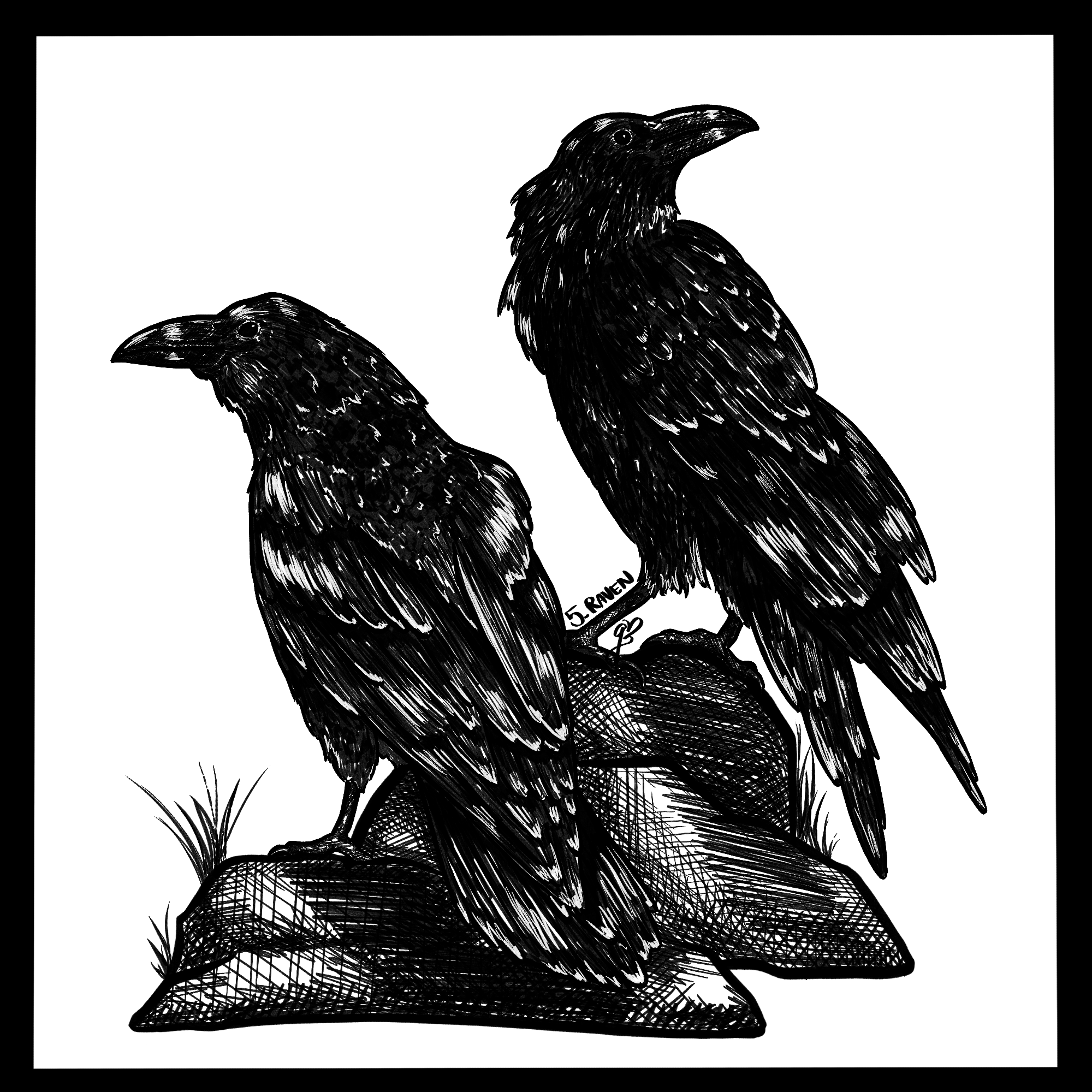 Inktober Day 5 Illustration